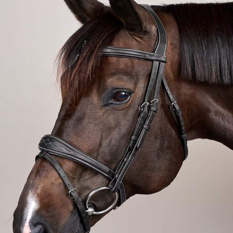 Anatomic Flash Noseband Bridle US Collection Black
