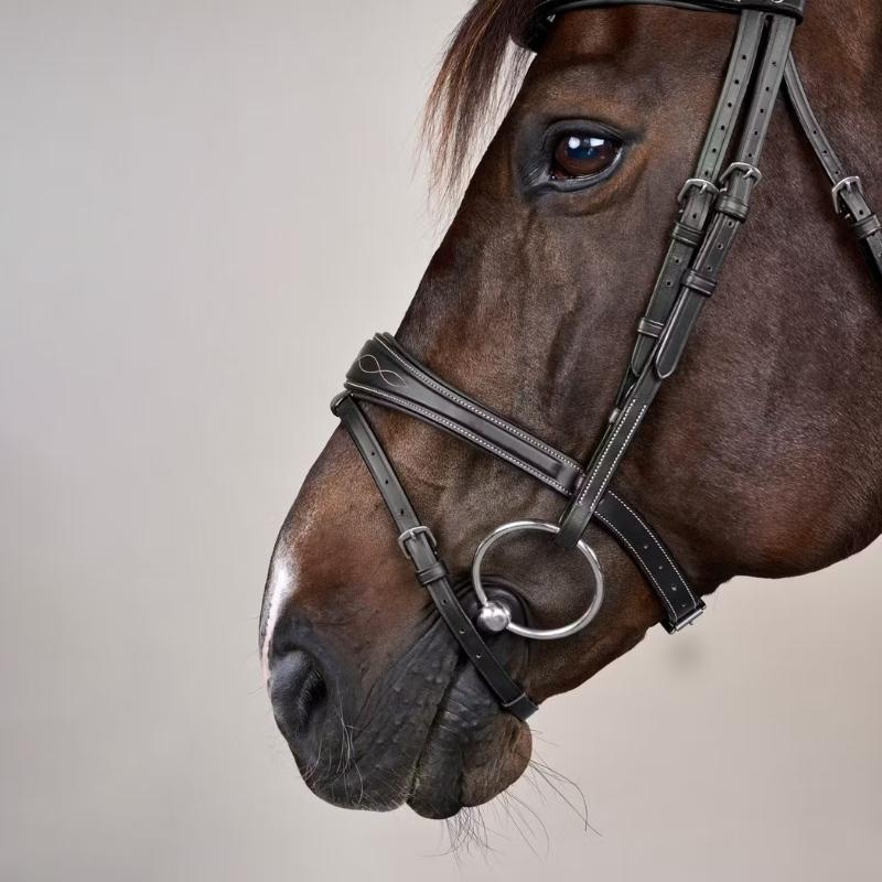 Anatomic Flash Noseband Bridle US Collection Black