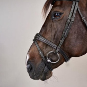 Anatomic Flash Noseband Bridle US Collection Black Anatomic Flash Noseband Bridle US Collection Black