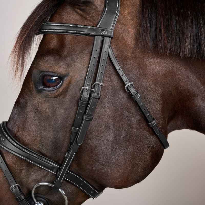 Anatomic Flash Noseband Bridle US Collection Black