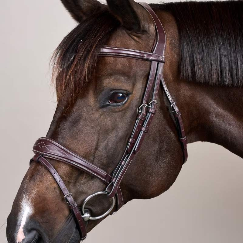 Anatomic Flash Noseband Bridle US Collection Brown