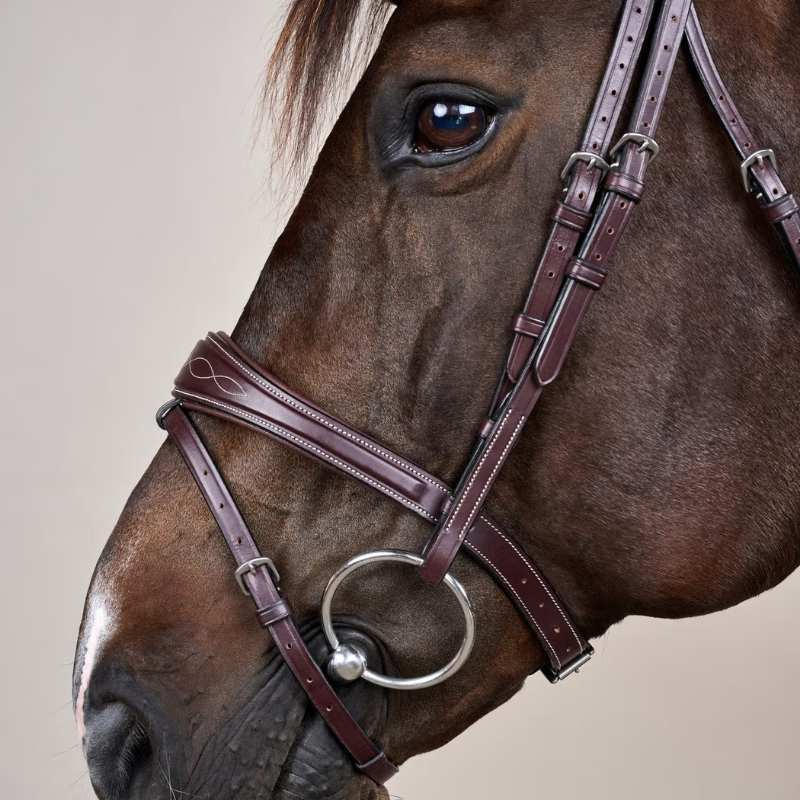 Anatomic Flash Noseband Bridle US Collection Brown