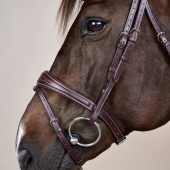 Anatomic Flash Noseband Bridle US Collection Brown Anatomic Flash Noseband Bridle US Collection Brown