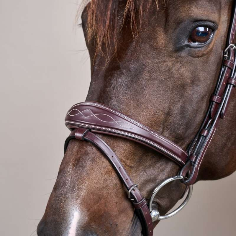 Anatomic Flash Noseband Bridle US Collection Brown