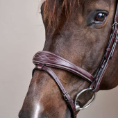 Anatomic Flash Noseband Bridle US Collection Brown Anatomic Flash Noseband Bridle US Collection Brown
