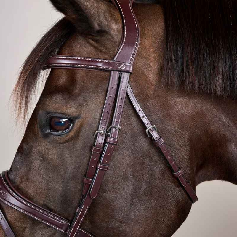 Anatomic Flash Noseband Bridle US Collection Brown