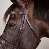 Anatomic Flash Noseband Bridle US Collection Brown Anatomic Flash Noseband Bridle US Collection Brown