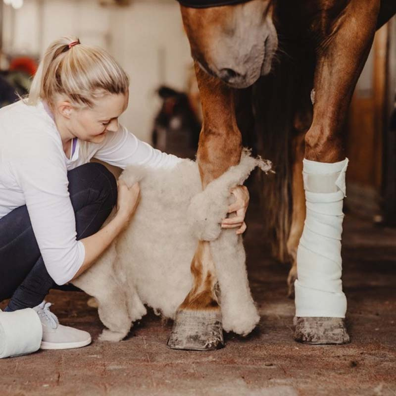 Wool Pads Wool Care Nature