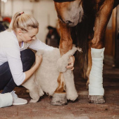 Wool Pads Wool Care Nature Wool Pads Wool Care Nature