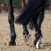 Tendon Boots Vibe Black Tendon Boots Vibe Black