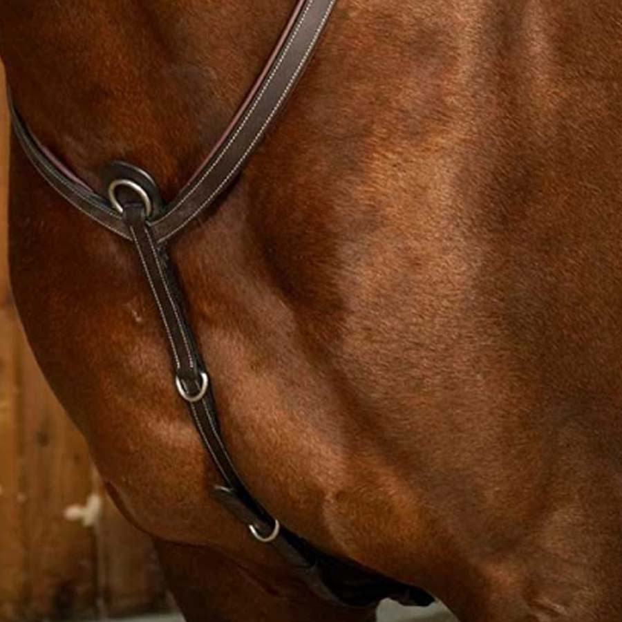 Breastplate with Bridge WC Brown