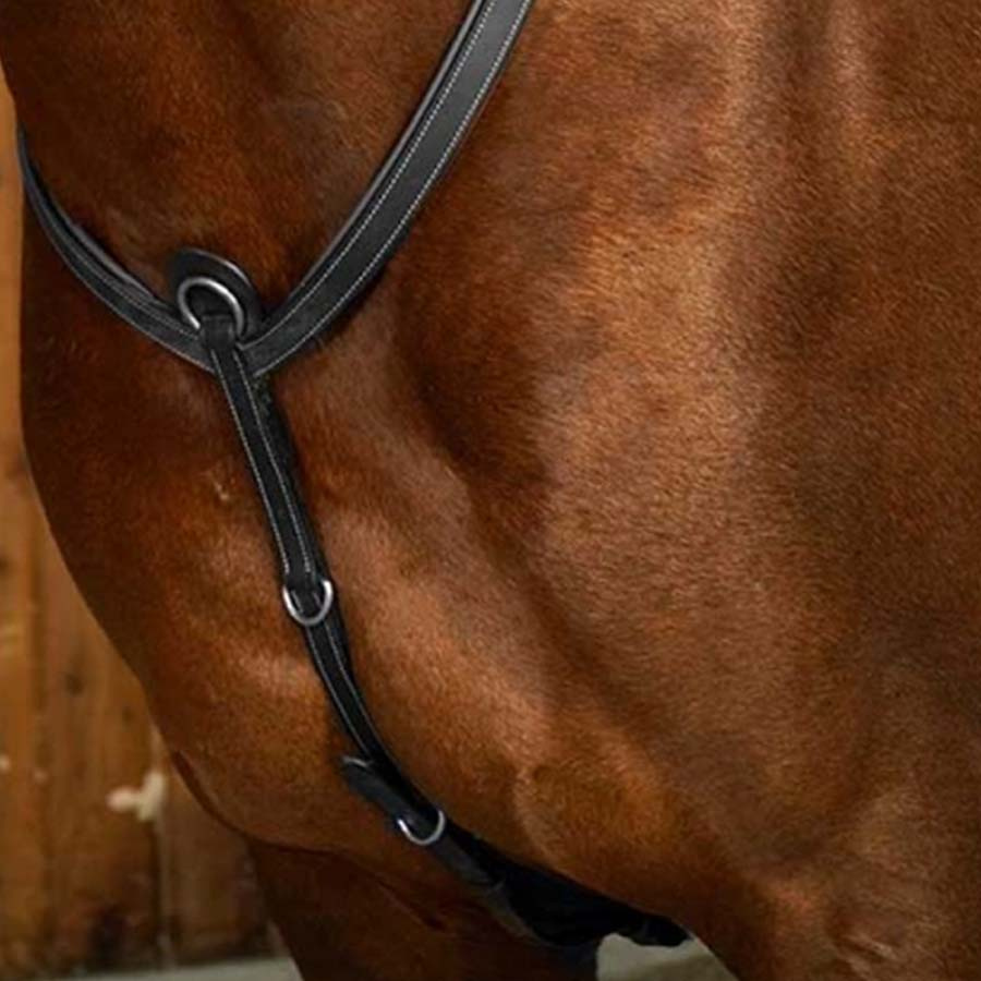 Breastplate with Bridge WC Black