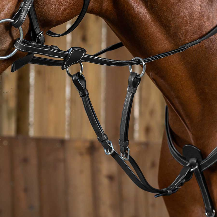 Short Running Martingale WC Black