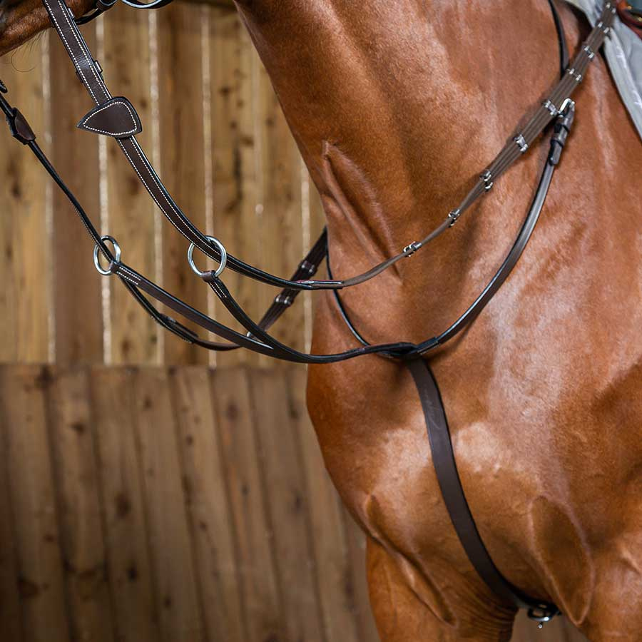 Running Martingale WC Brown