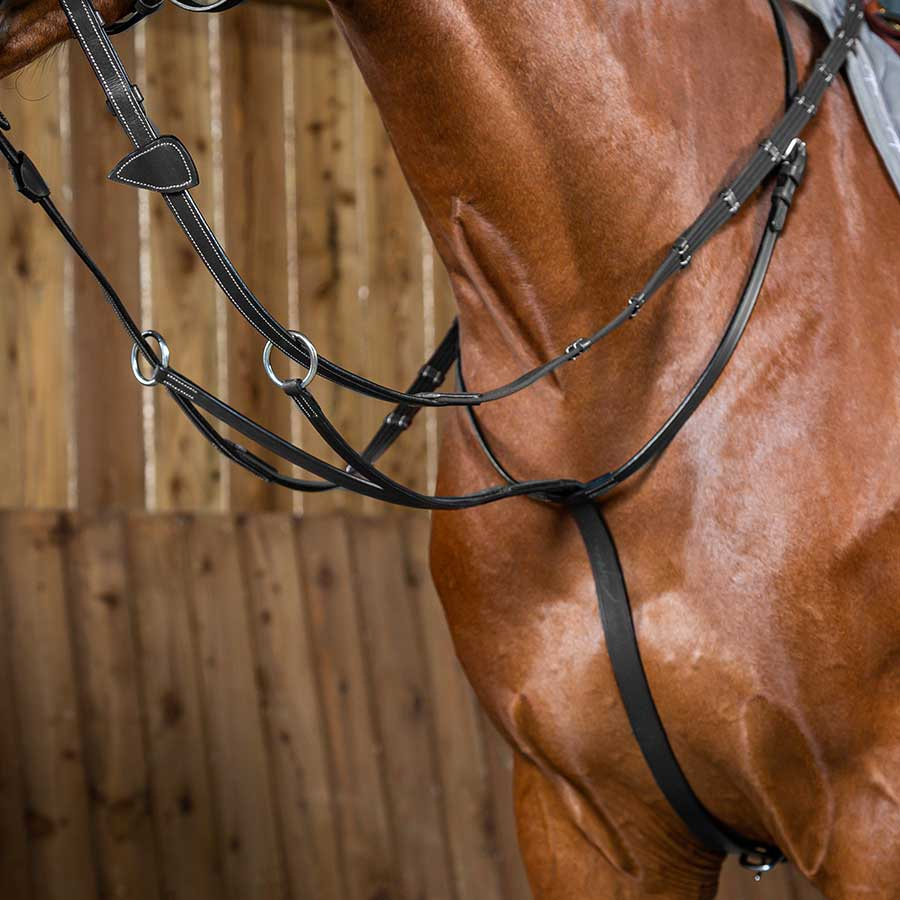 Running Martingale WC Black