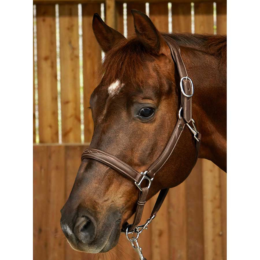 Leather Halter 2-in-1 WC Brown