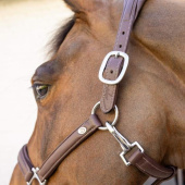 Leather Halter 2-in-1 Working Collection Brown Leather Halter 2-in-1 Working Collection Brown