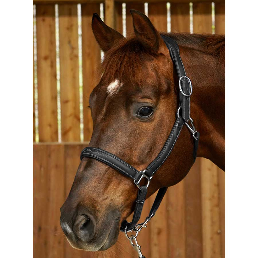 Leather Halter 2-in-1 WC Black