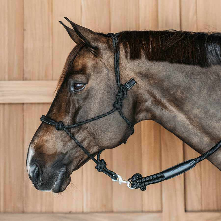 Rope Halter Training WBD Black