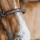 Rope Halter Training WBD Brown Rope Halter Training WBD Brown