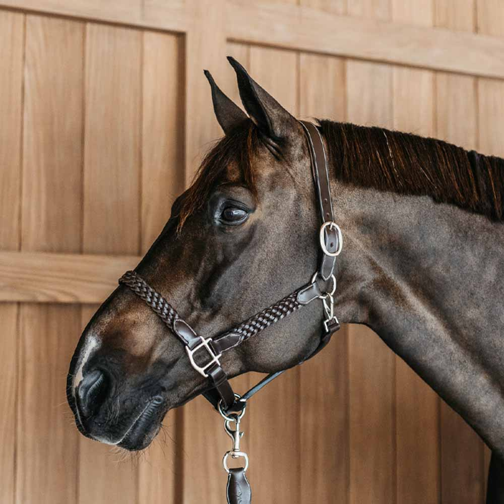 Leather Halter Plaited WBD Brown