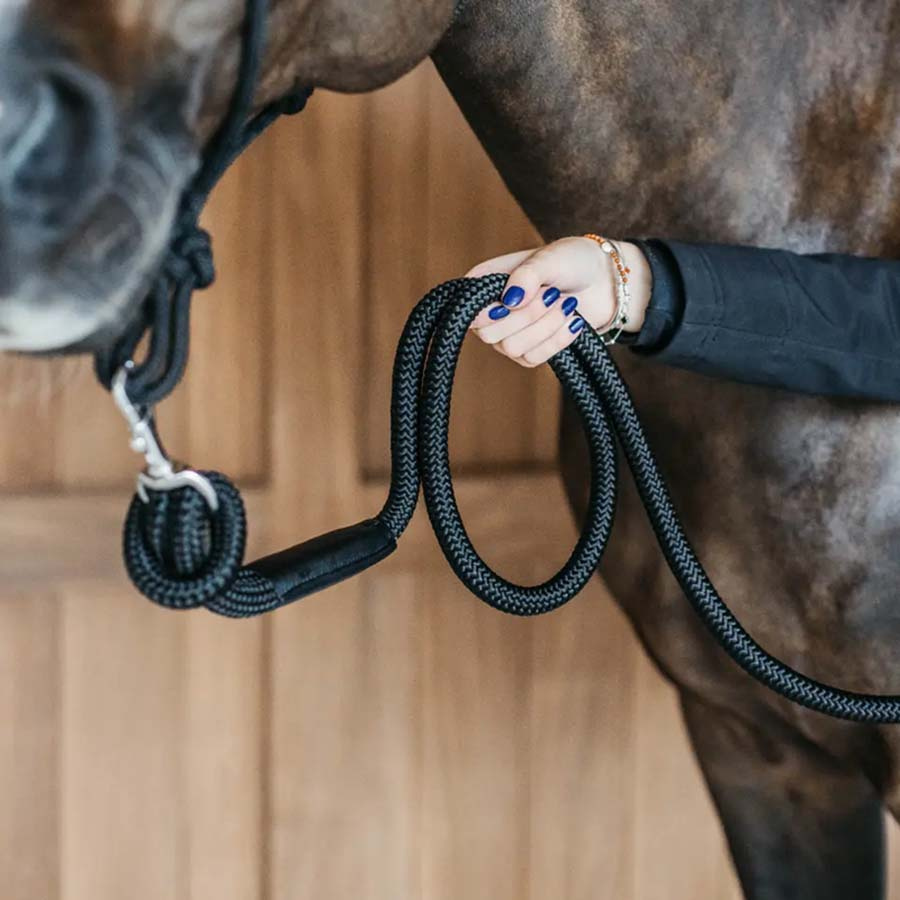 Halter Removable Snap WBD Black