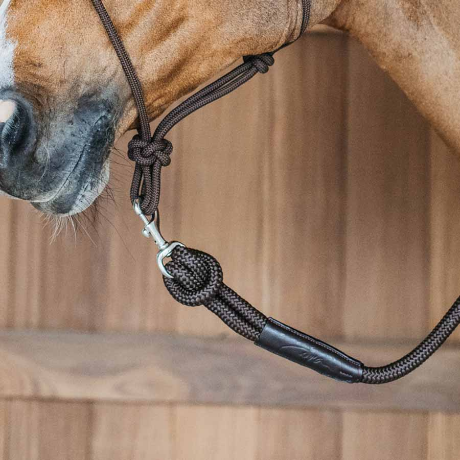 Halter Removable Snap WBD Brown