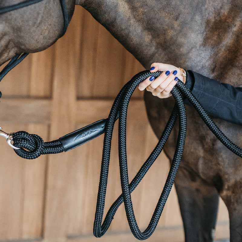 Halter Training Removable Snap WBD Black