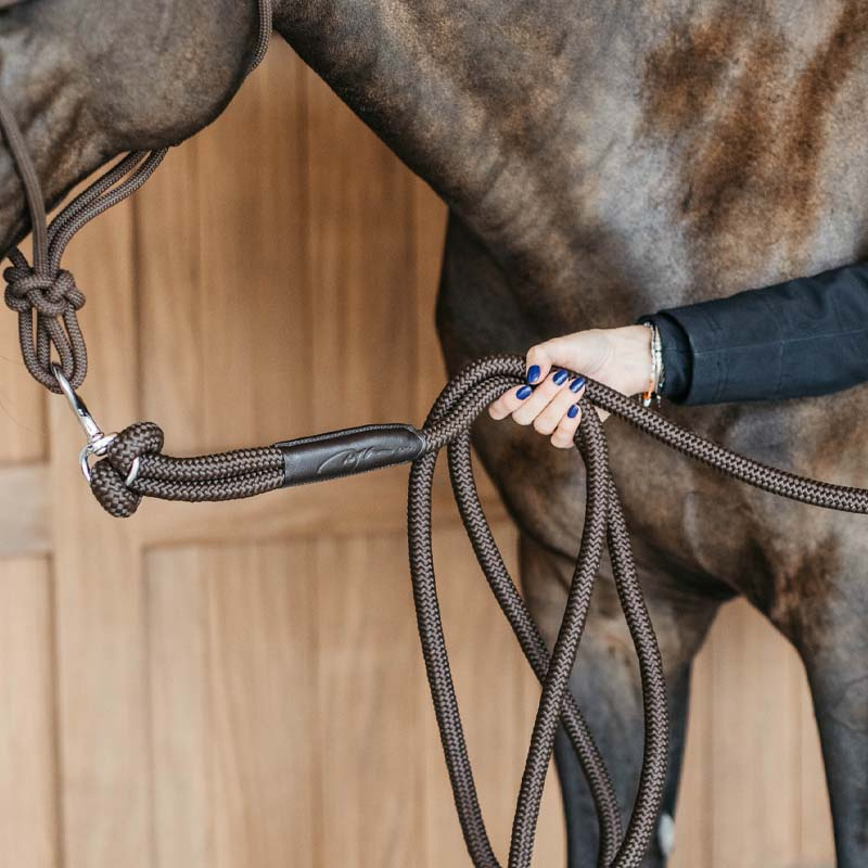 Halter Training Removable Snap WBD Brown