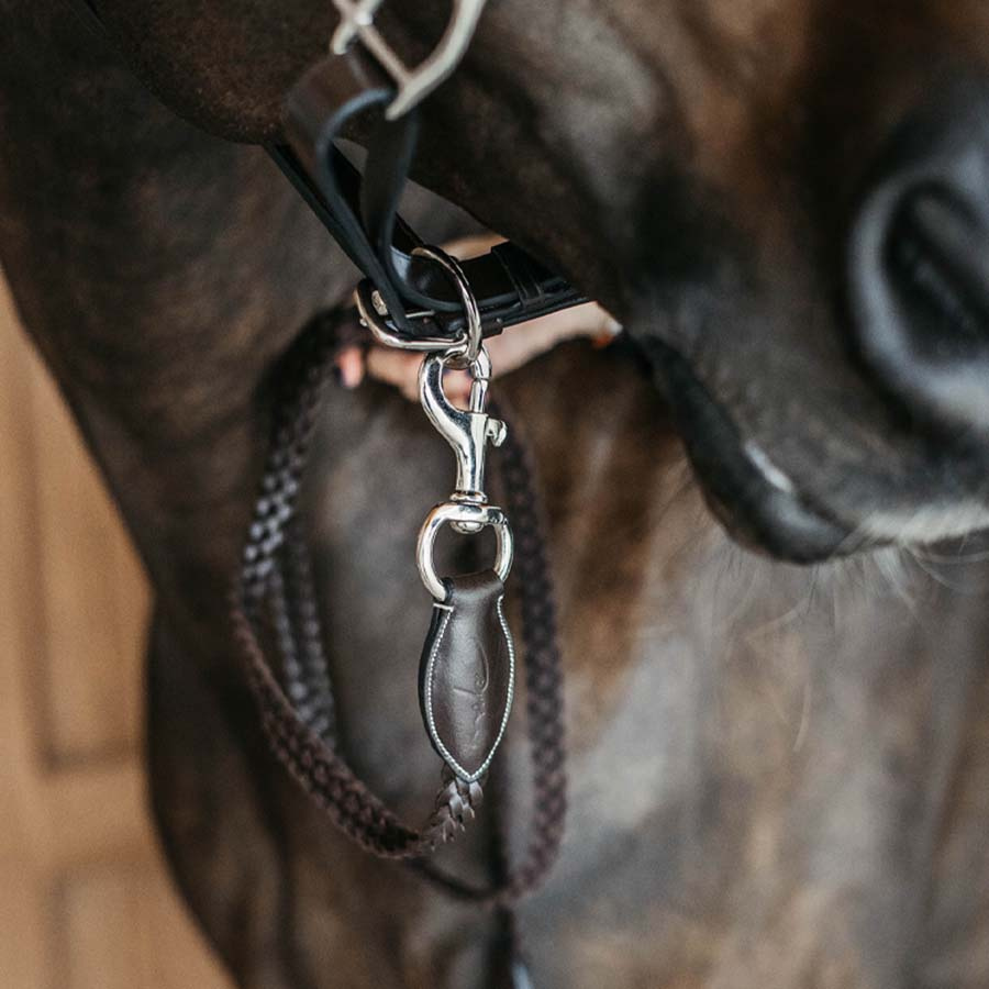 Leather Halter Plaited WBD Brown