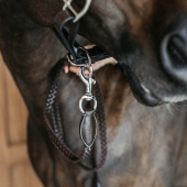 Leather Halter Plaited WBD Brown Leather Halter Plaited WBD Brown