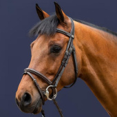 Classic Combination Bridle WC Brown Classic Combination Bridle WC Brown