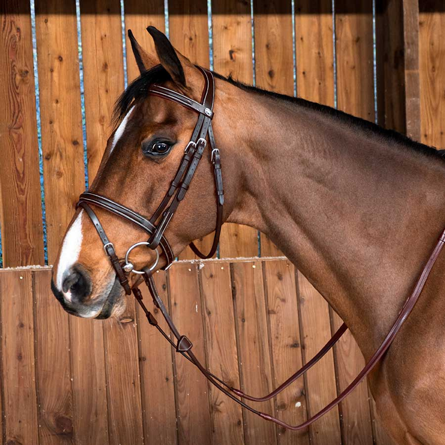 Classic Combination Bridle WC Brown