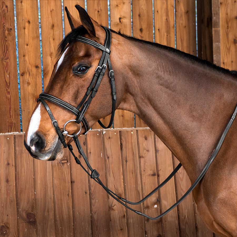 Classic Combination Bridle WC Black