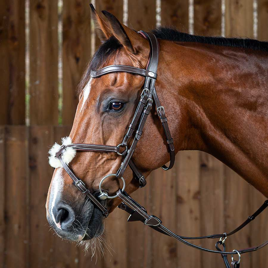 Mexican Noseband Bridle WC Brown
