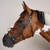Mexican Noseband Bridle WC Brown Mexican Noseband Bridle WC Brown