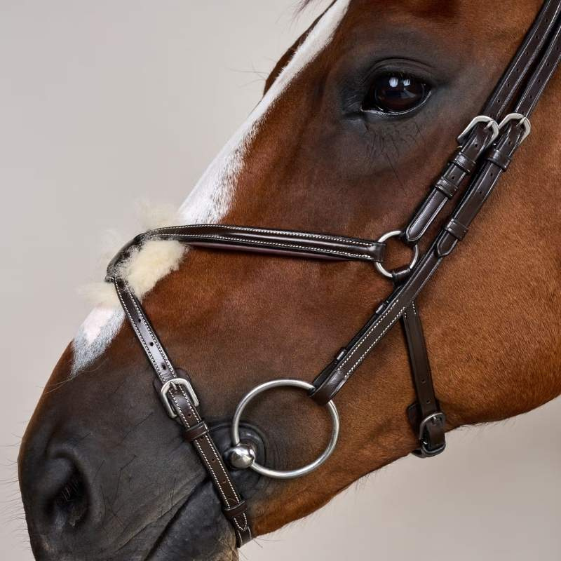 Mexican Noseband Bridle WC Brown