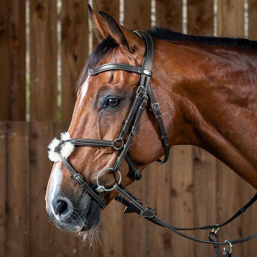Mexican Noseband Bridle WC Black