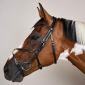 Mexican Noseband Bridle WC Black Mexican Noseband Bridle WC Black