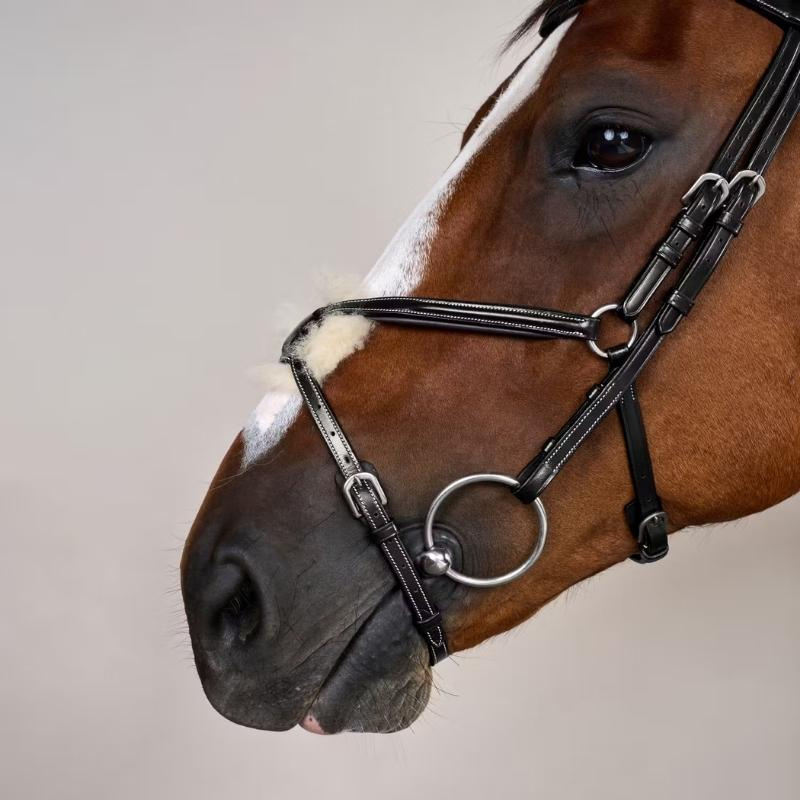 Mexican Noseband Bridle WC Black