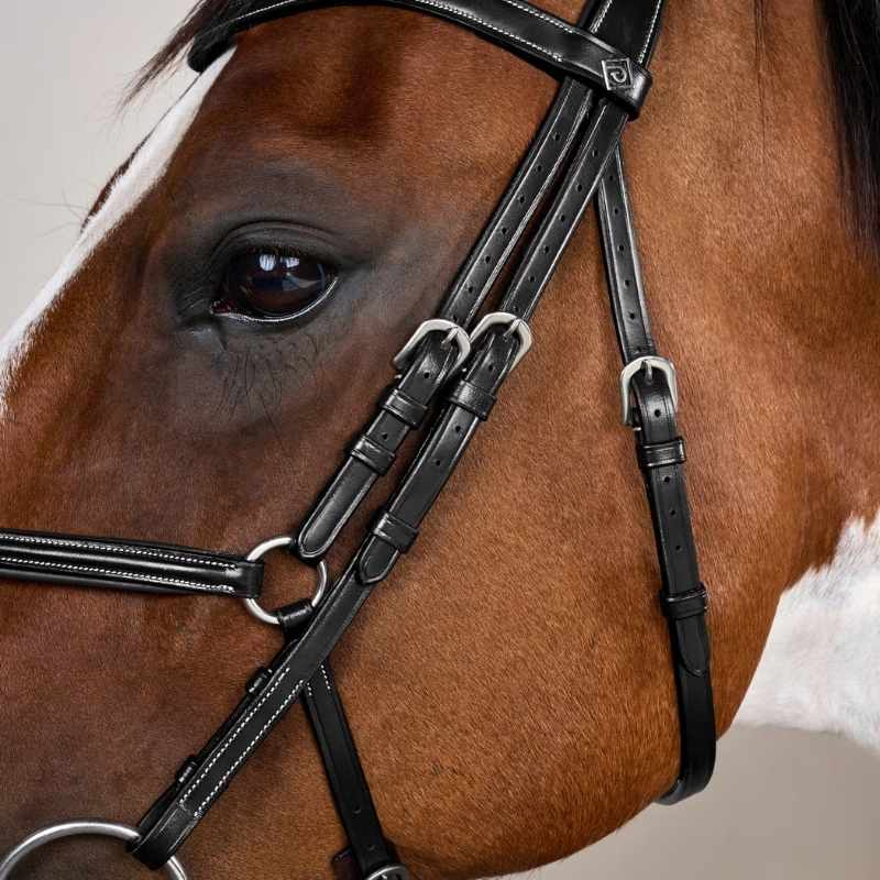 Mexican Noseband Bridle WC Black