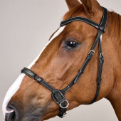 Bitless Bridle Working Collection Black Bitless Bridle Working Collection Black