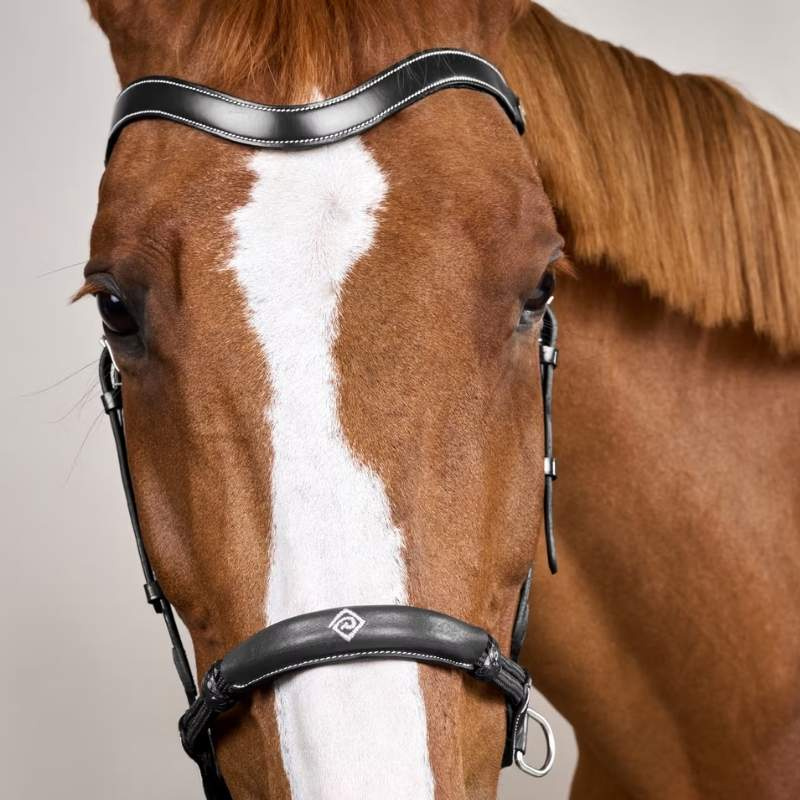Bitless Bridle Working Collection Black