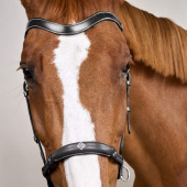Bitless Bridle Working Collection Black Bitless Bridle Working Collection Black