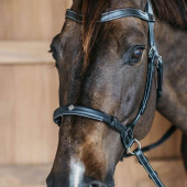 Bitless Bridle Working Collection Black Bitless Bridle Working Collection Black