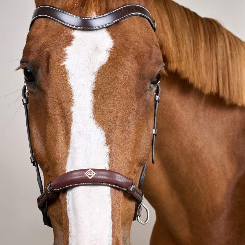 Bitless Bridle Working Collection Brown