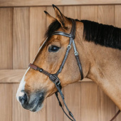 Bitless Bridle Working Collection Brown Bitless Bridle Working Collection Brown