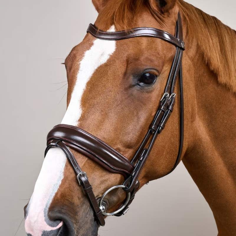 Dressage Bridle Matte Working Collection Brown