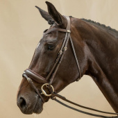 Dressage Bridle Matte Working Collection Brown Dressage Bridle Matte Working Collection Brown