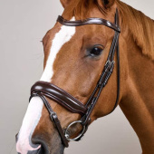 Dressage Bridle Matte Working Collection Brown Dressage Bridle Matte Working Collection Brown